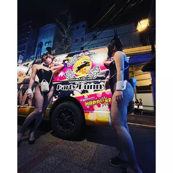 Party Bunny