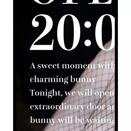 Bunny Bunny