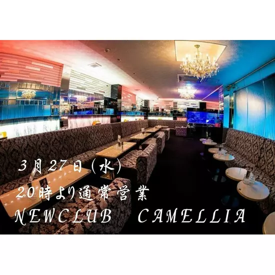 New Club Camellia