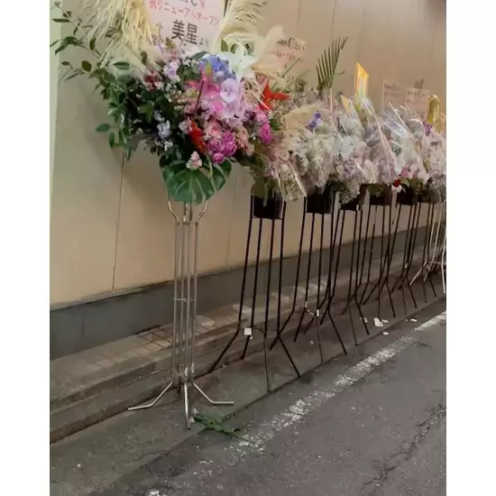Members C