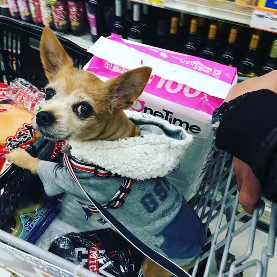 BAR BEAST.