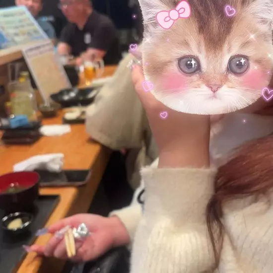 コスプレGirlsBar Ring