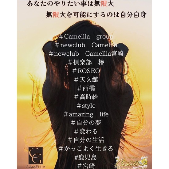 New Club Camellia