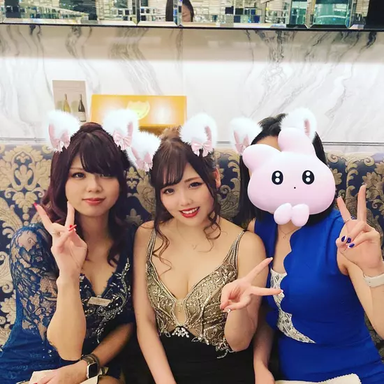New Club Camellia
