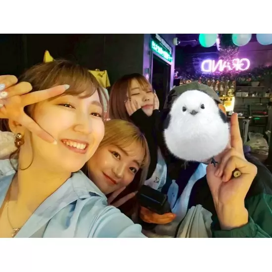 GirlsBar GRAND STADIUM