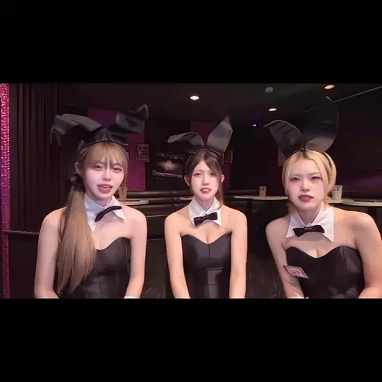 Party Bunny