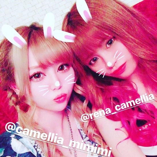 New Club Camellia