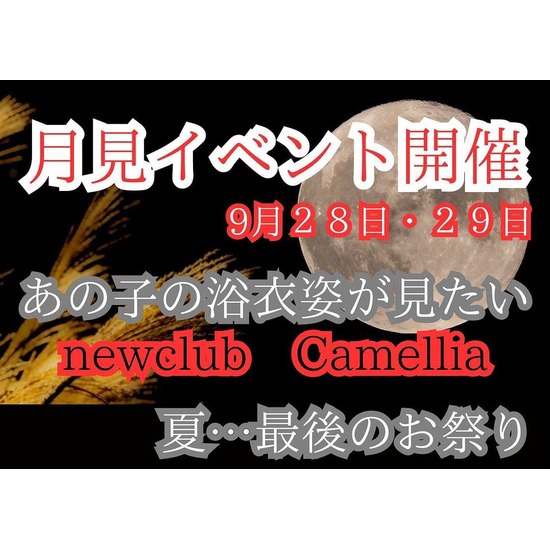 New Club Camellia