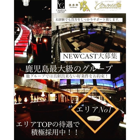 New Club Camellia