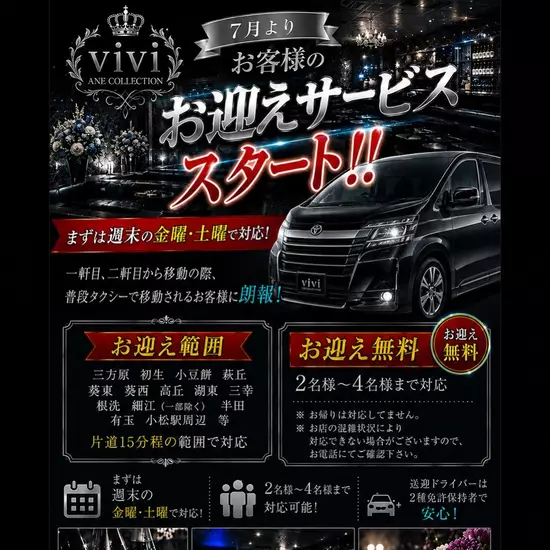 ANE COLLECTION vivi