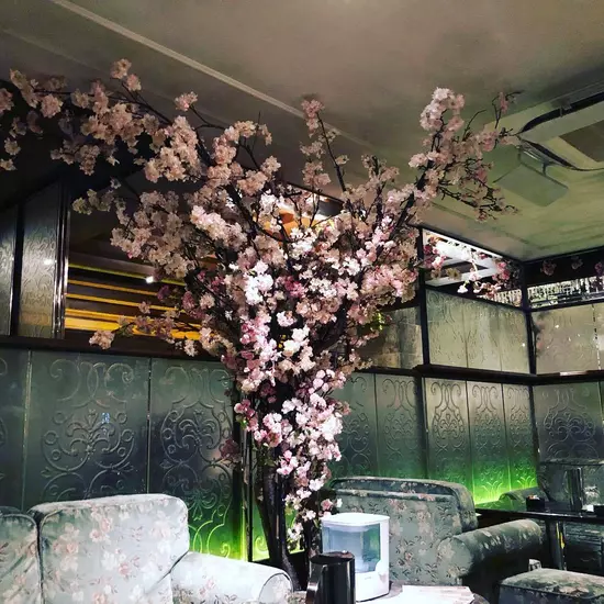Luxury Garden Paris Collection