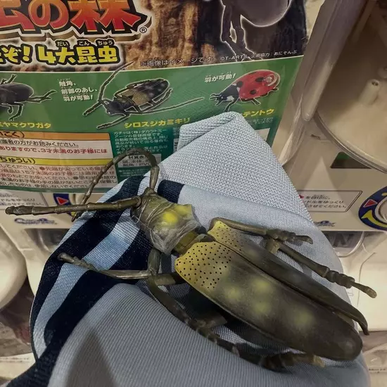 コスプレGirlsBar Ring