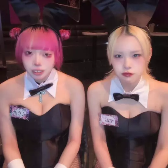 Party Bunny