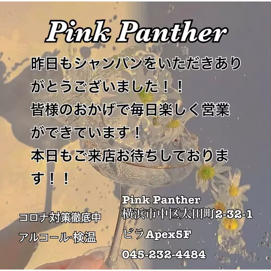 PINK PANTHER