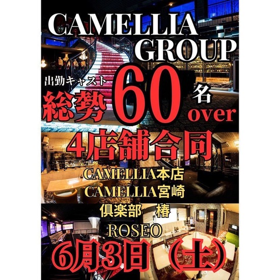 New Club Camellia