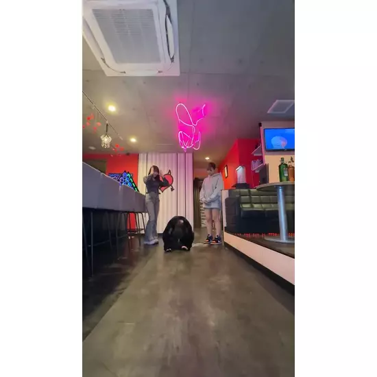 Concafe Lounge Devil Party