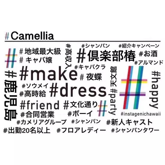 New Club Camellia