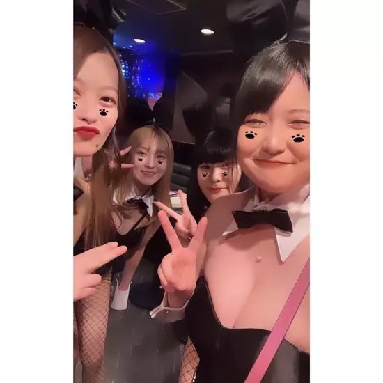 Party Bunny