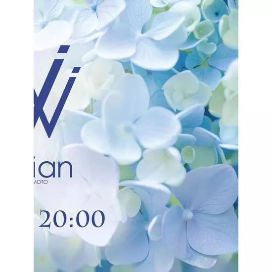 vivian KUMAMOTO