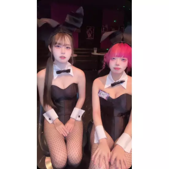 Party Bunny