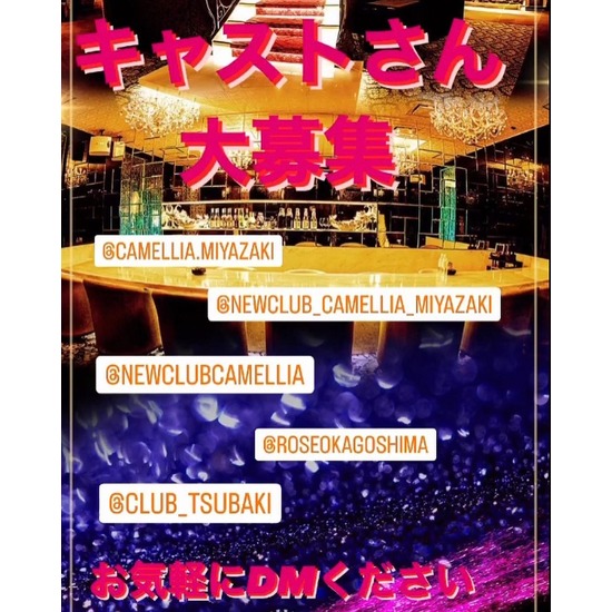 New Club Camellia