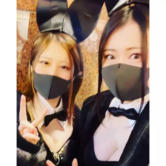 Party Bunny