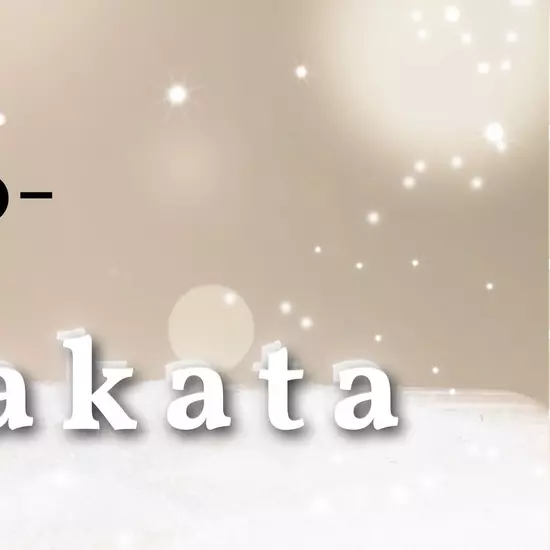 PARADISE HAKATA