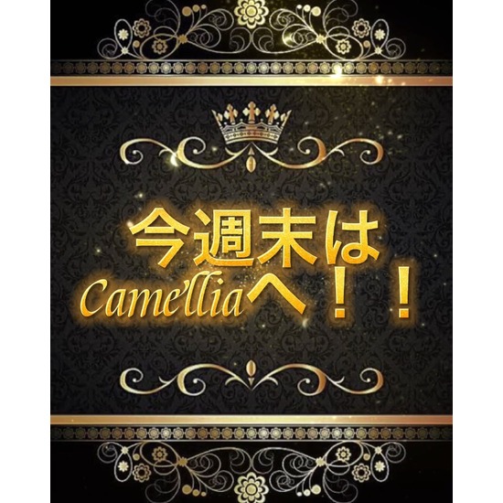 New Club Camellia