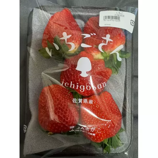 コスプレGirlsBar Ring