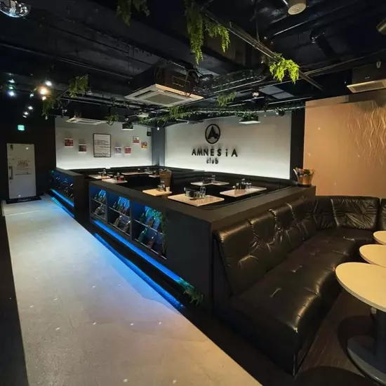 AMNESiA-club