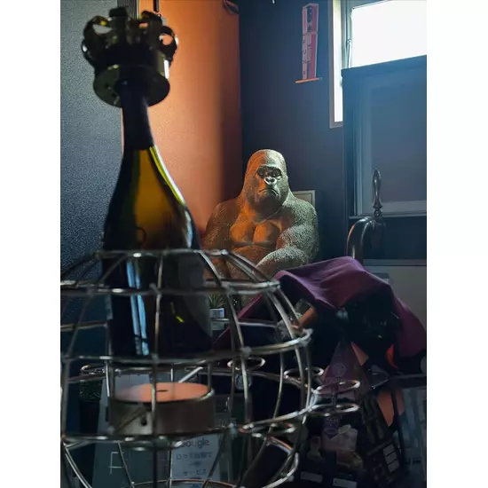 Girl's Bar Fun