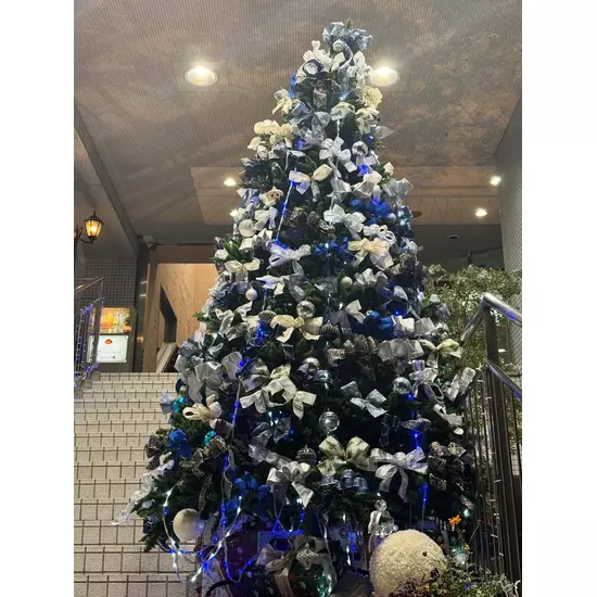 コスプレGirlsBar Ring