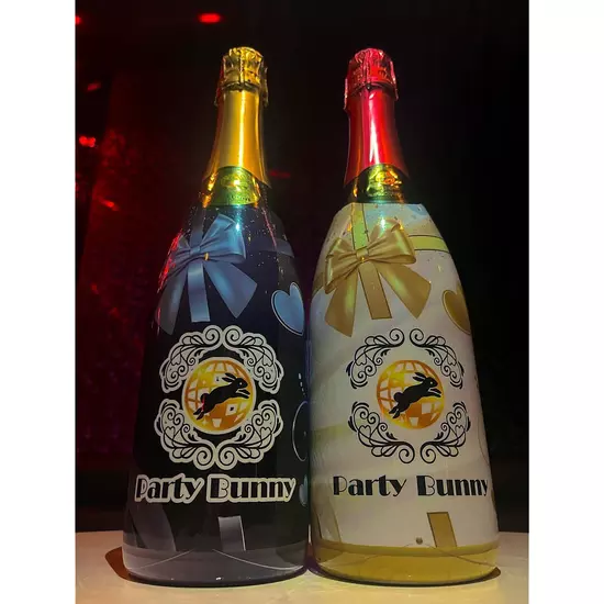 Party Bunny