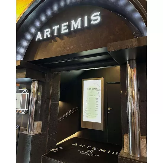 ARTEMIS