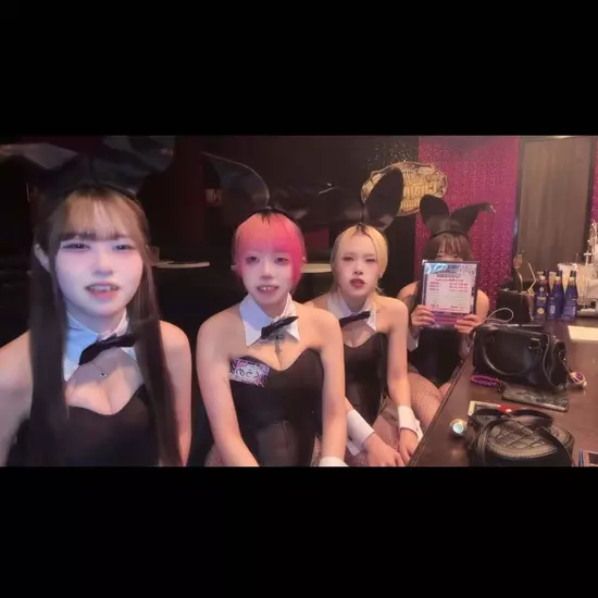 Party Bunny