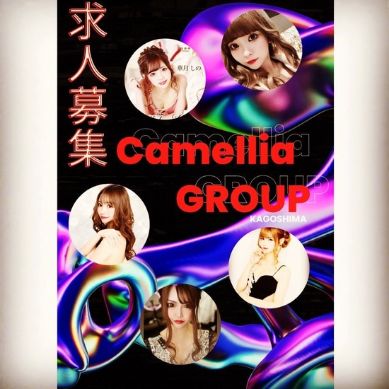 New Club Camellia