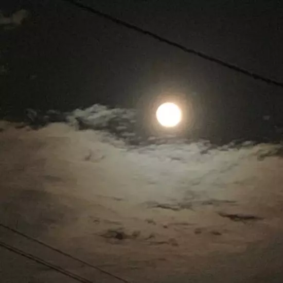 コスプレGirlsBar Ring