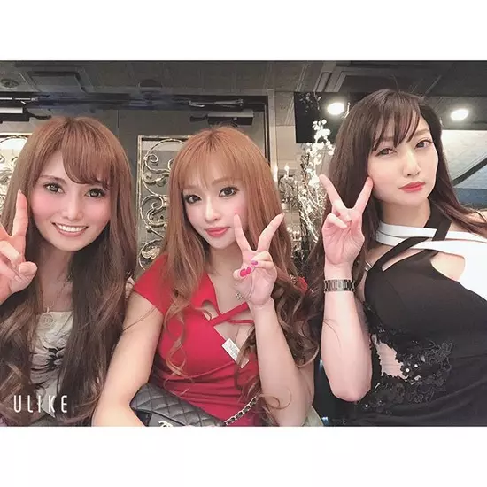 New Club Camellia