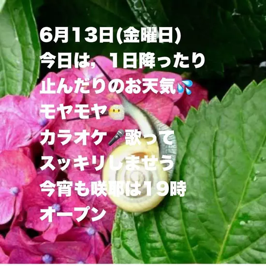 咲耶