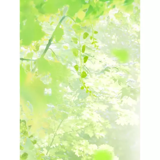Villa KUMAMOTO