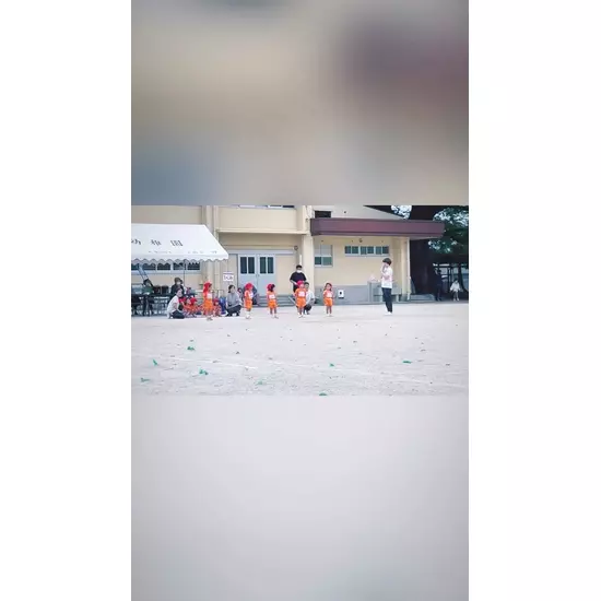 Members C