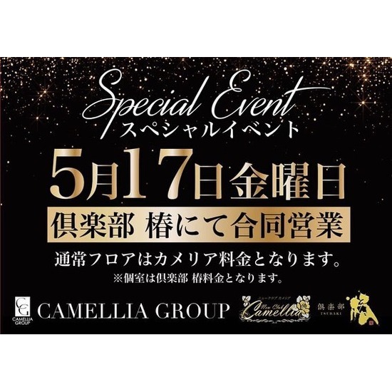 New Club Camellia