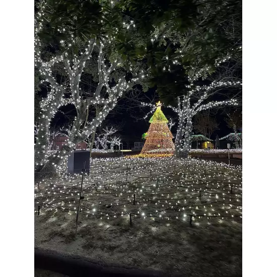 コスプレGirlsBar Ring