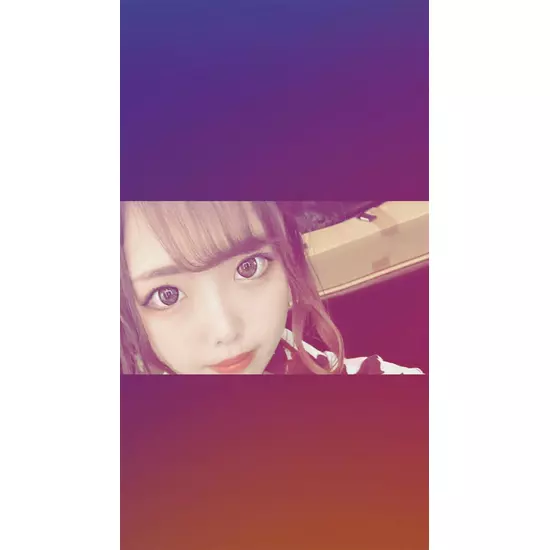 New Club Camellia