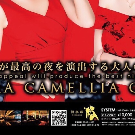 New Club Camellia