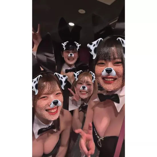 Party Bunny