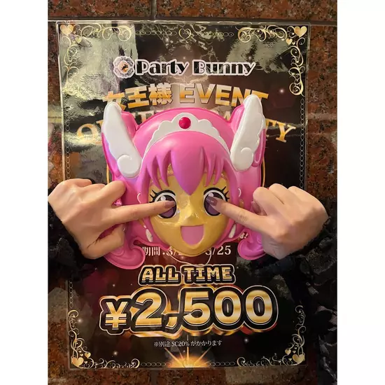 Party Bunny