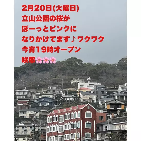 咲耶