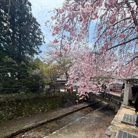 コスプレGirlsBar Ring