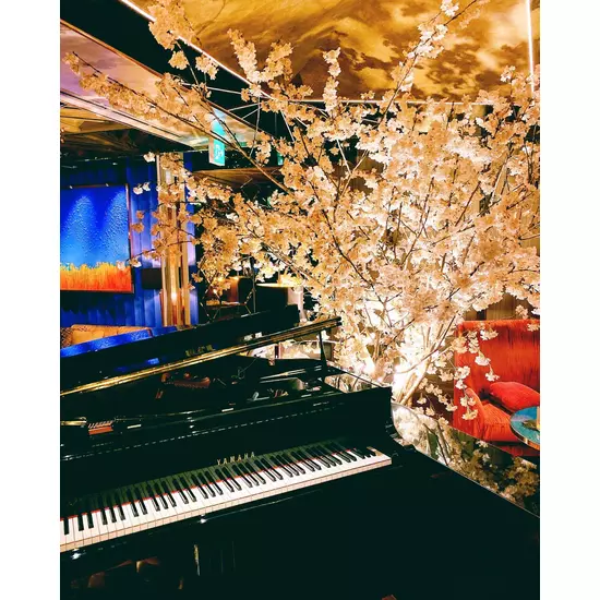 CLUB LE PIN